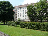 View from garden
